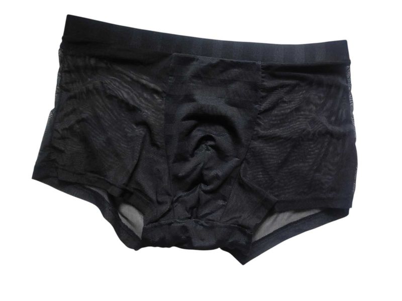 Sheer Mesh Boxer Briefs