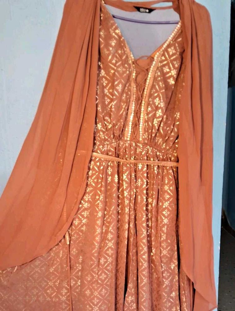 Stunning Embellished Ethnic Gown