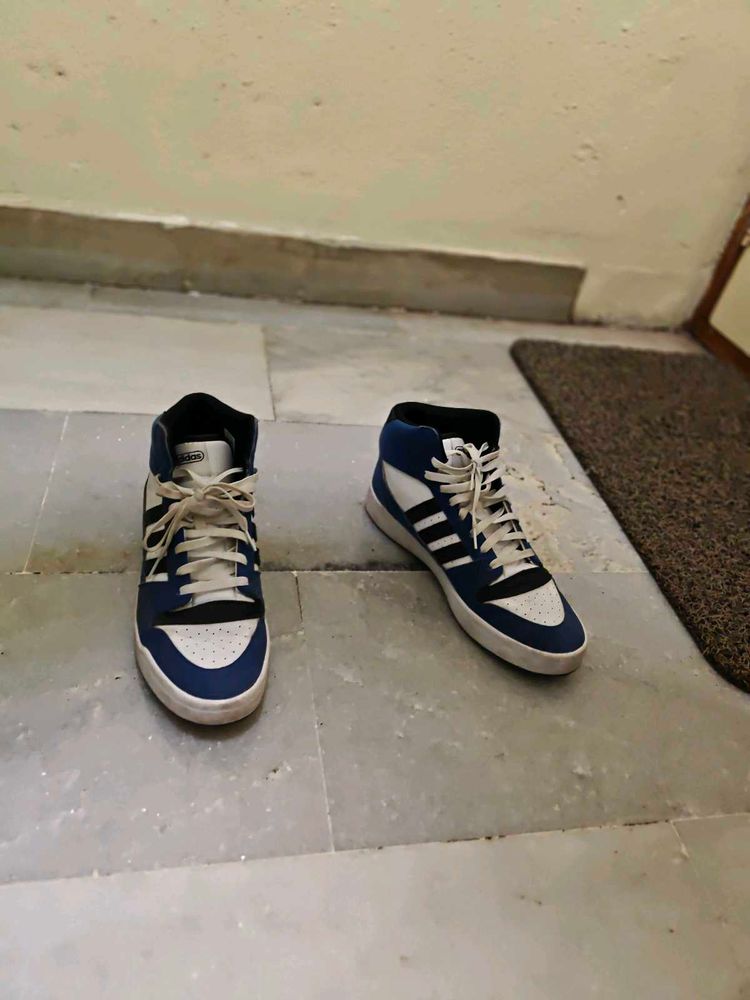 Adidas High-Size UK 12-Top Sneakers