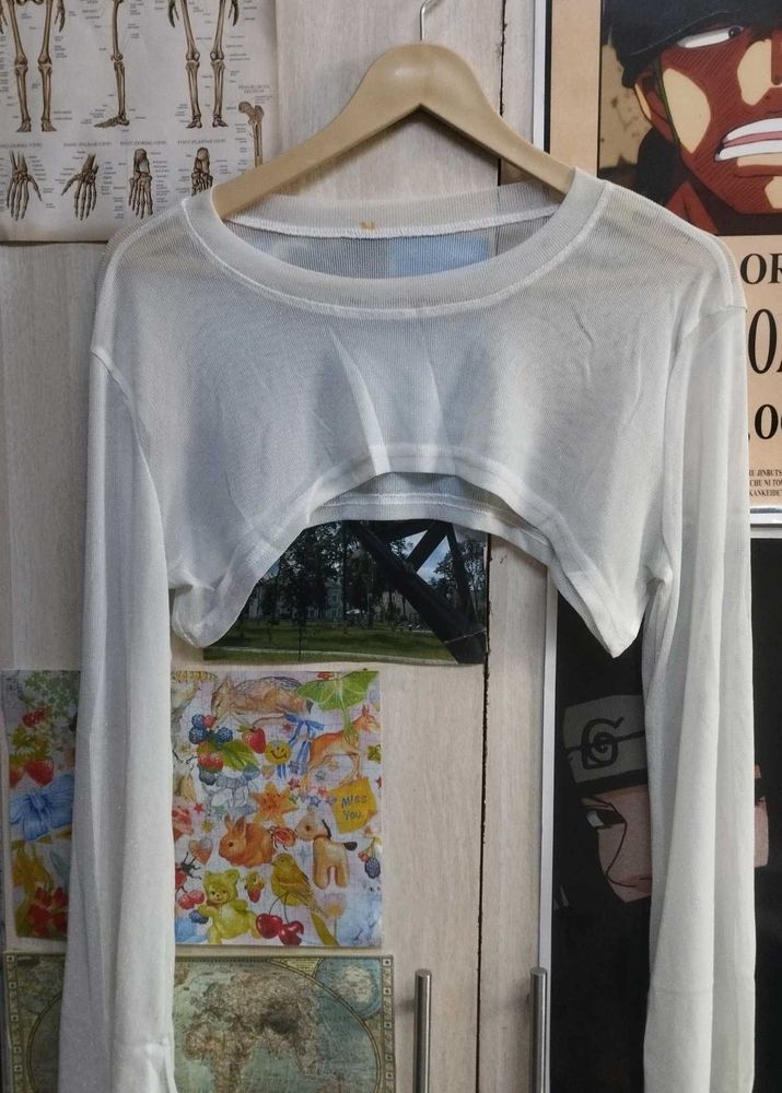 Sheer Cropped Long Sleeve Top