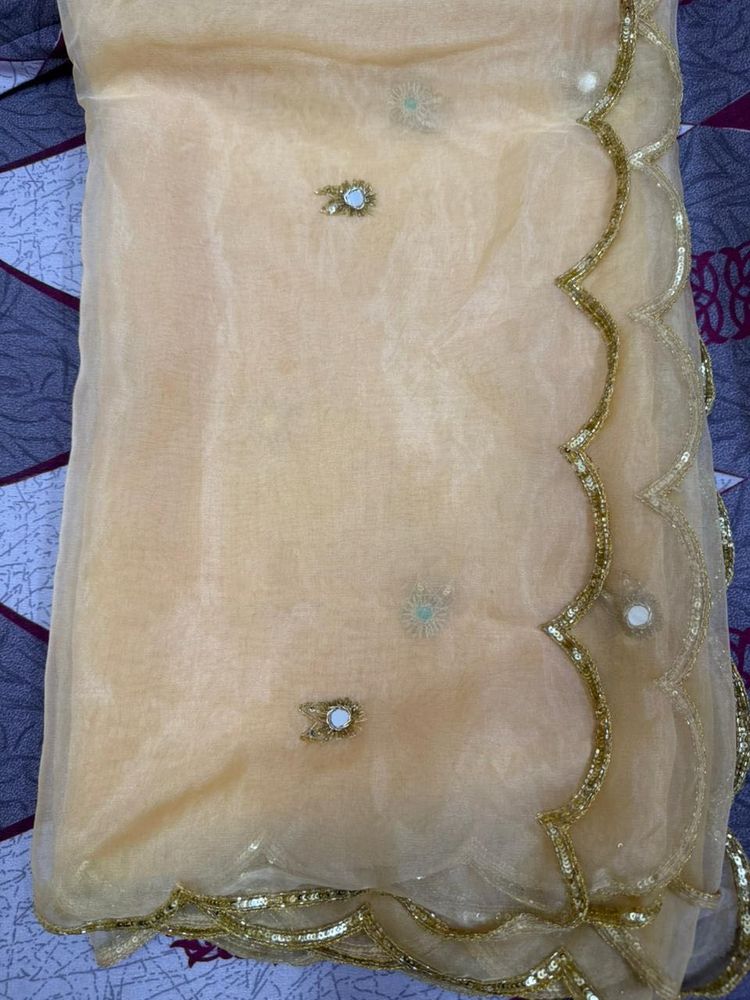 Elegant dupatta with Mirror Work