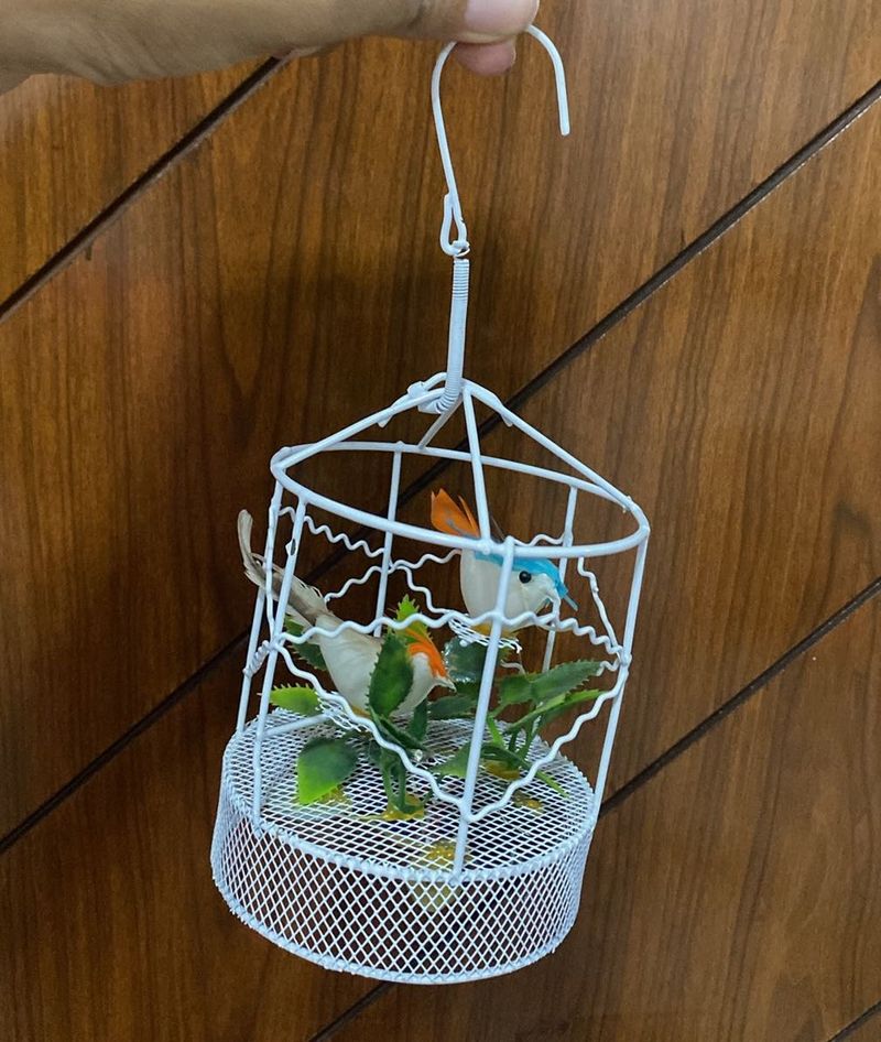 Bird wind chime for balcony &amp; home