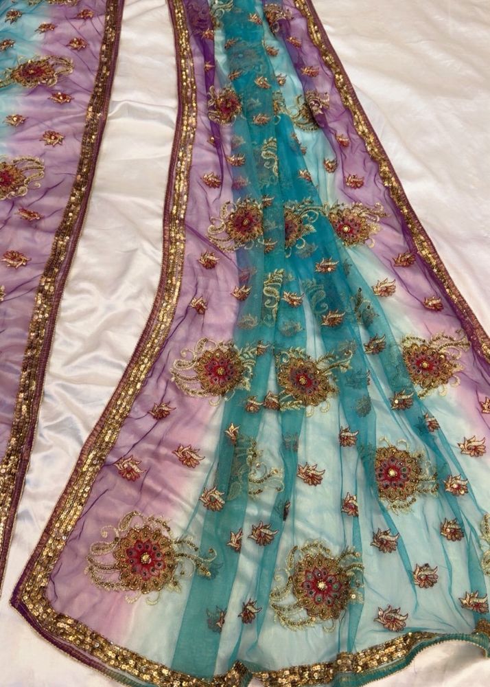 Embroidered Net saree