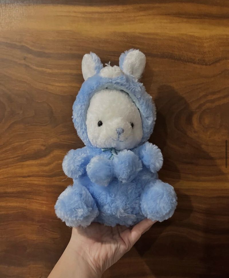 Cute Blue Bunny Plush Toy
