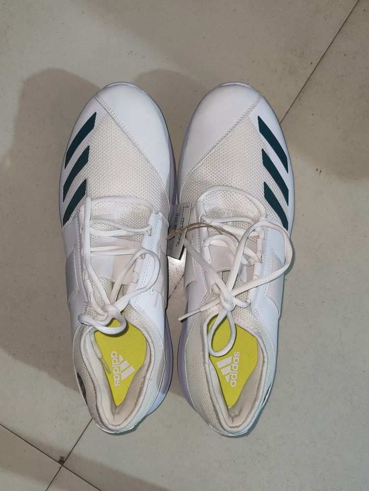 Adidas men's casual shoes. no Coins. Unused