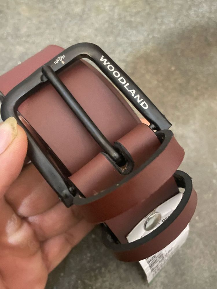 Woodland Belt - Brown