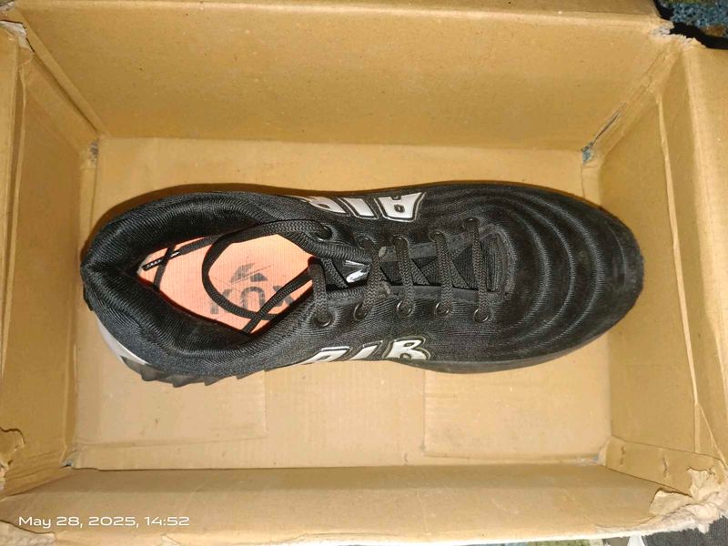Sports/Trekking shoe
