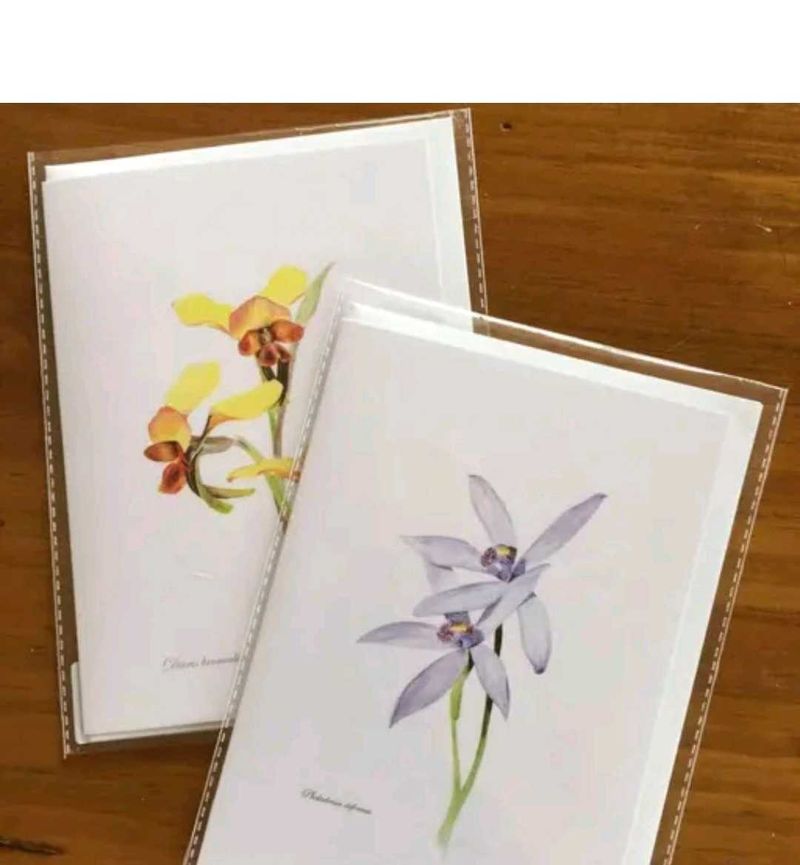 Transparent Zip Lock Plastic Pouches