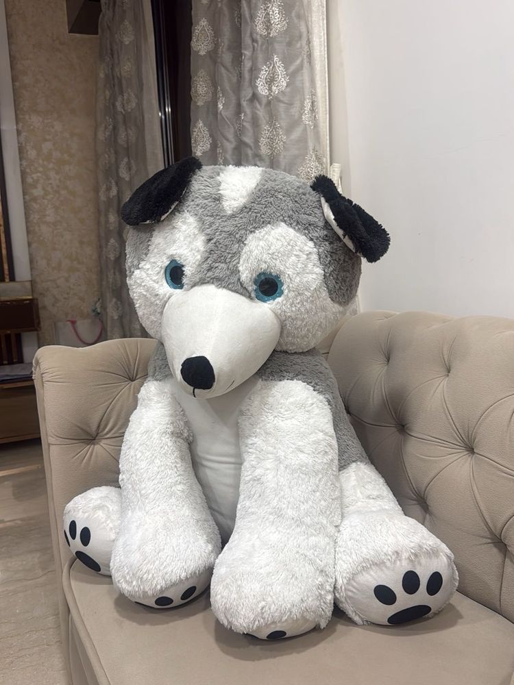 Giant Husky Plush Toy