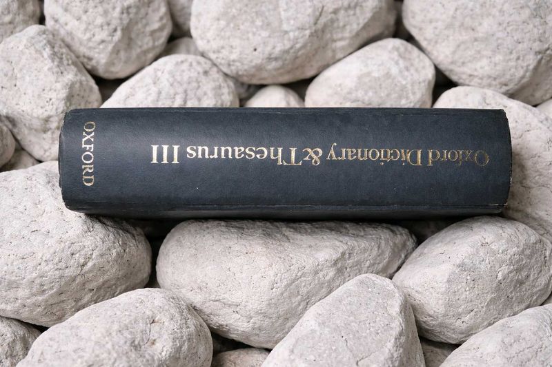 Oxford Dictionary &amp; Thesaurus III