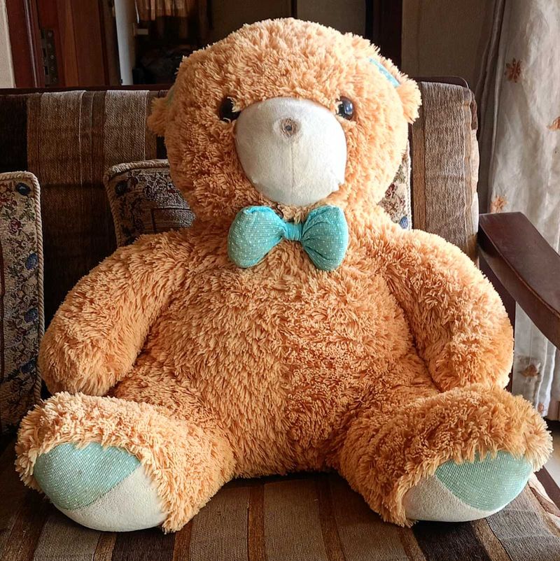 Giant Teddy Bear