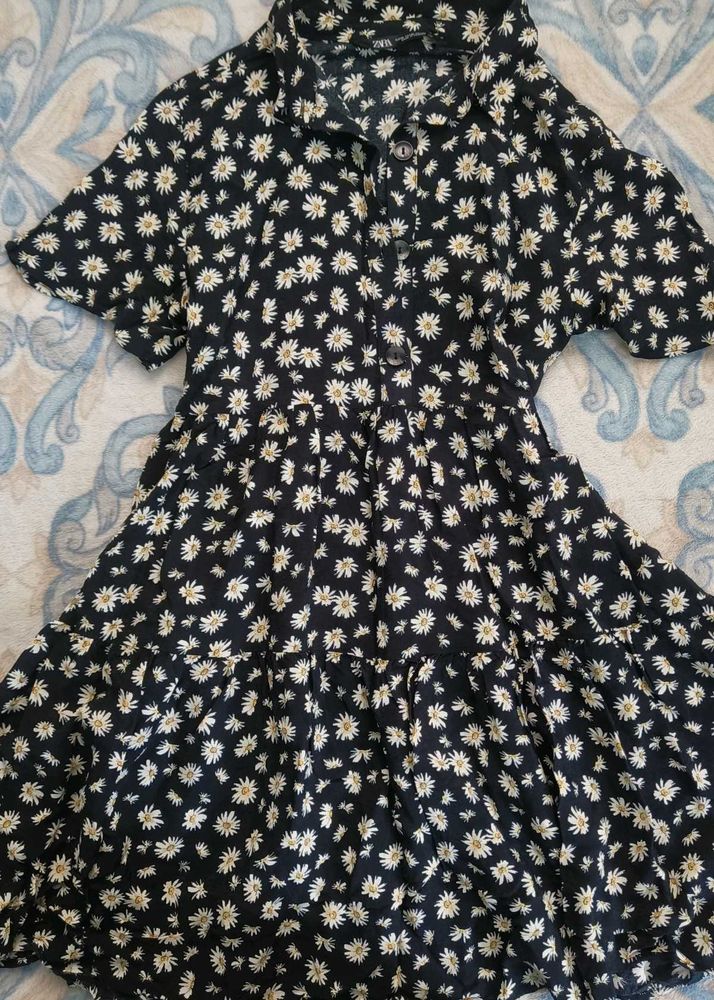 Zara Daisy Print Dress