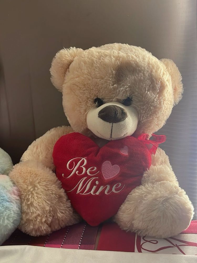 Cuddly "Be Mine" Teddy Bear - Perfect Gift
