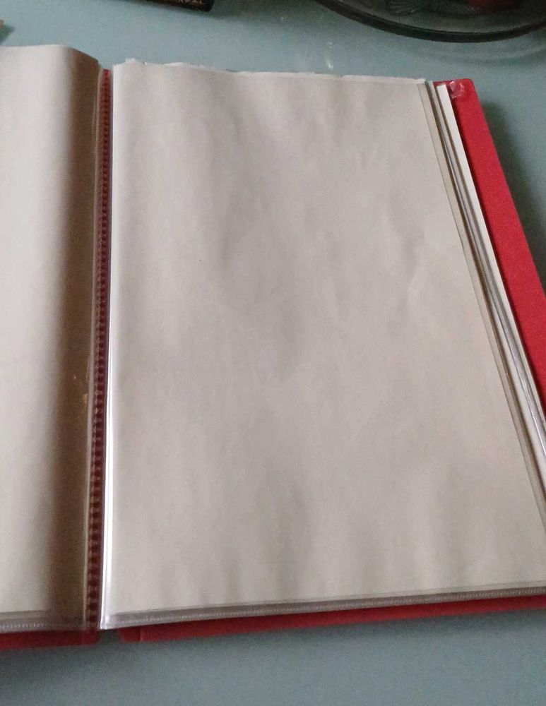 Folder With Transparent Plastic Sleeves
