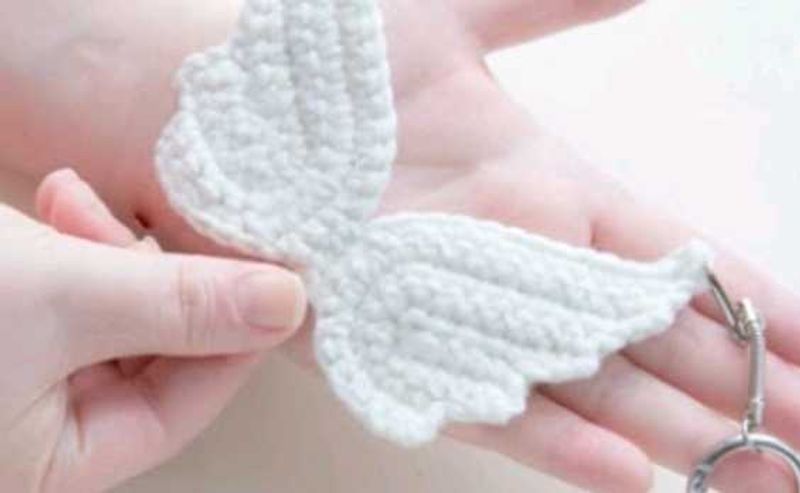 Jennie's fallen Angel Wings Keychain
