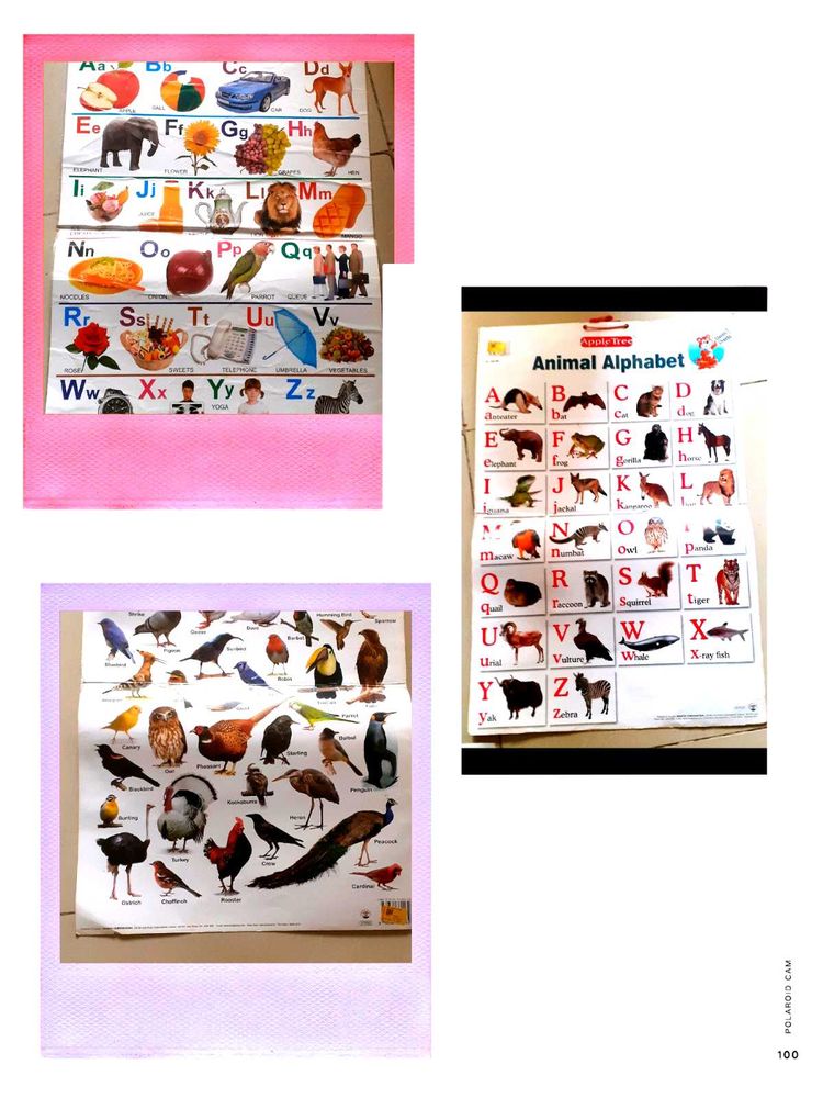 Educational Animal Alphabet Posters