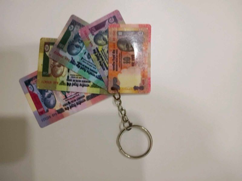 Indian Money Themed Keychain