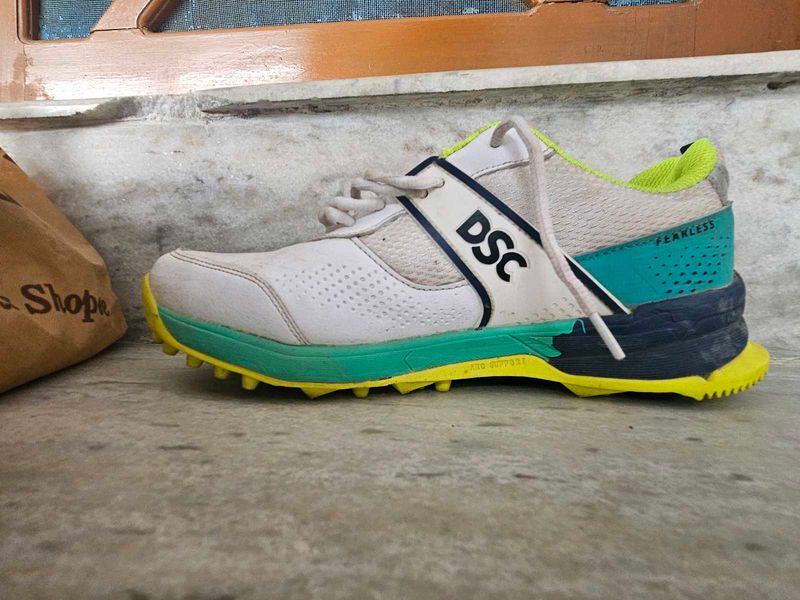 DSC Cricket Shoes
