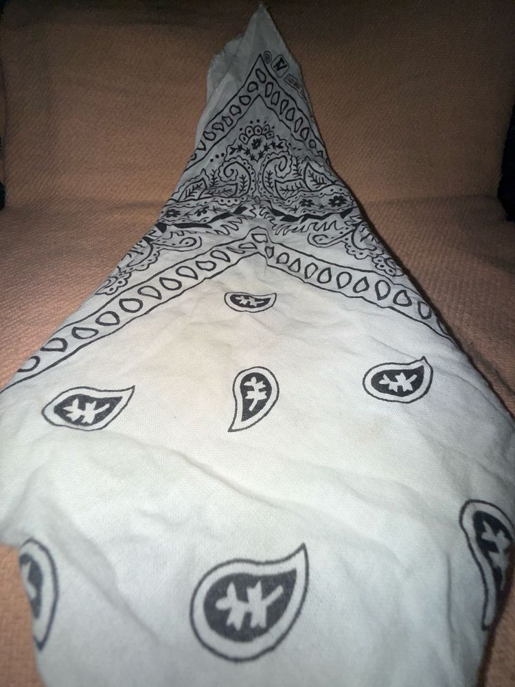 Bangkok Cotton Classic Paisley Bandana (Set of 2)