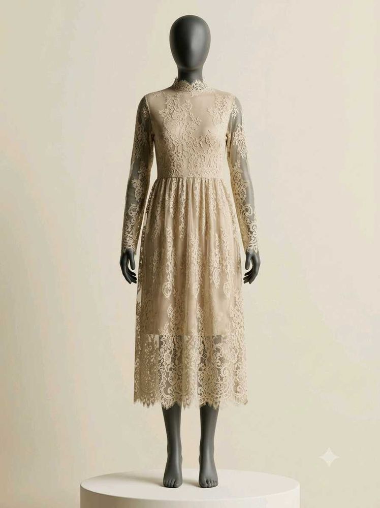 Elegant Lace Dress