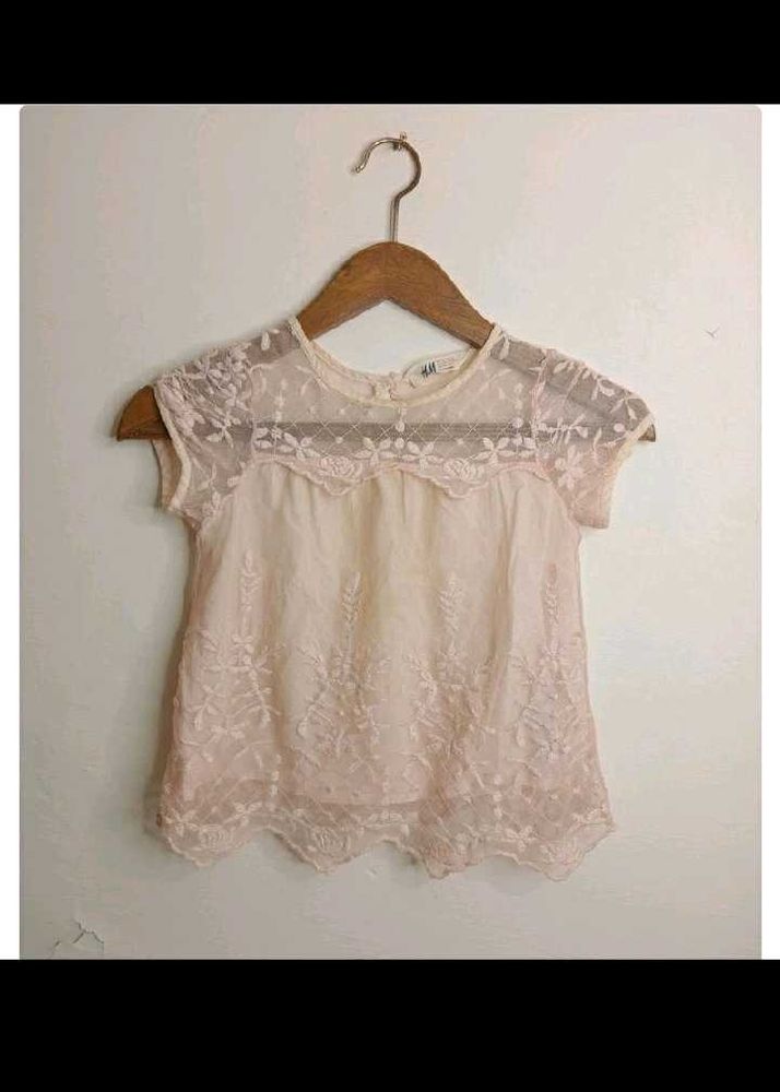Elegant Lace top