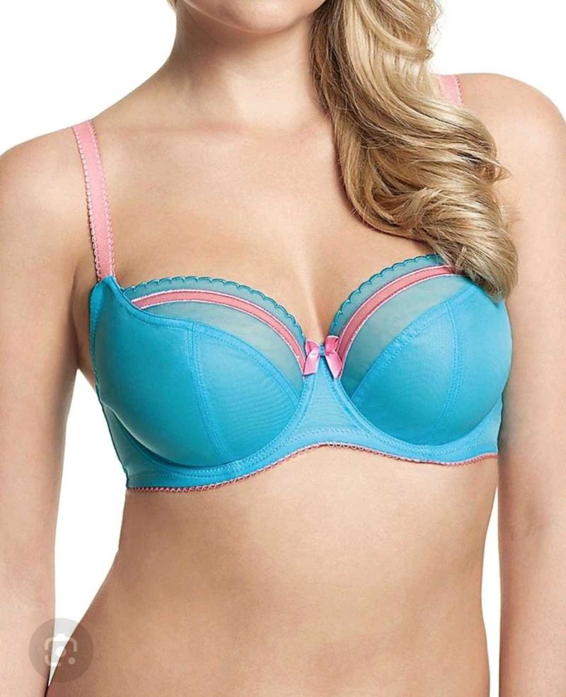 Blue &amp; Pink Bra