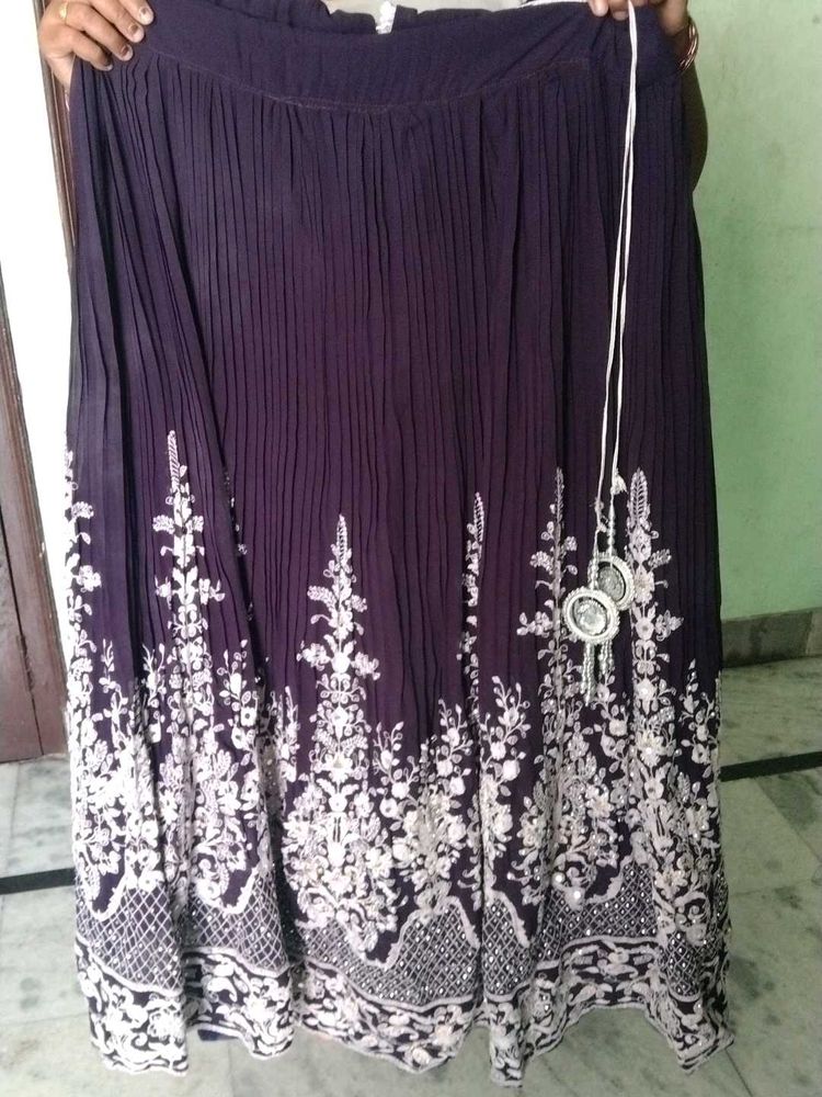 Elegant Embroidered Ethnic Skirt