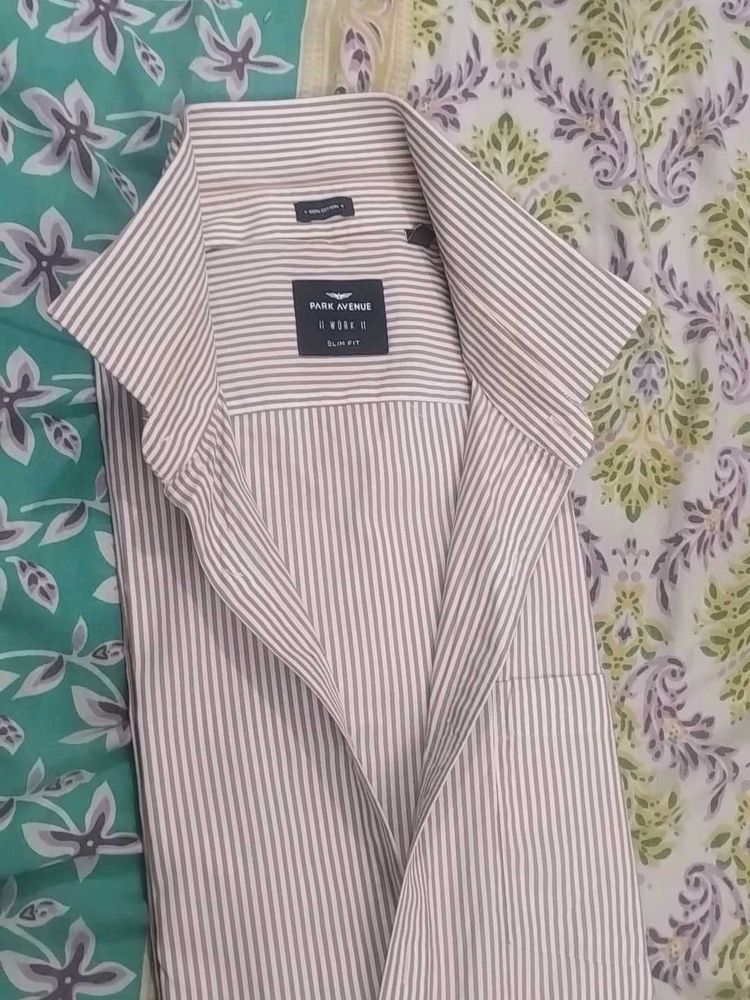Park Avenue Striped Shirt