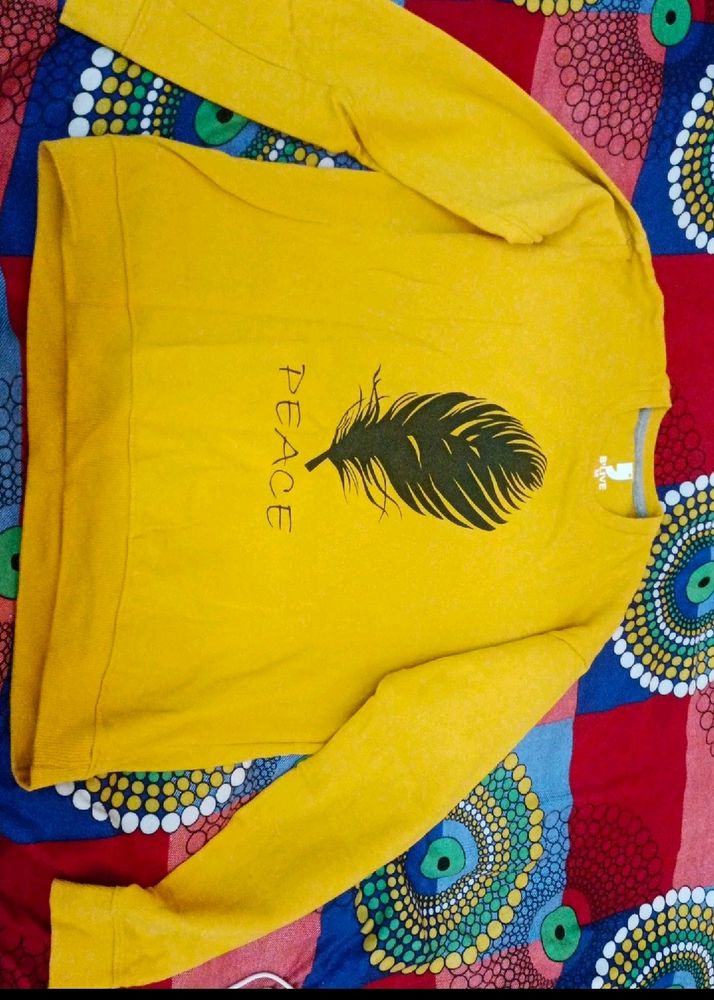 Men Boy Women 38 Size Sweatshirt Sweater