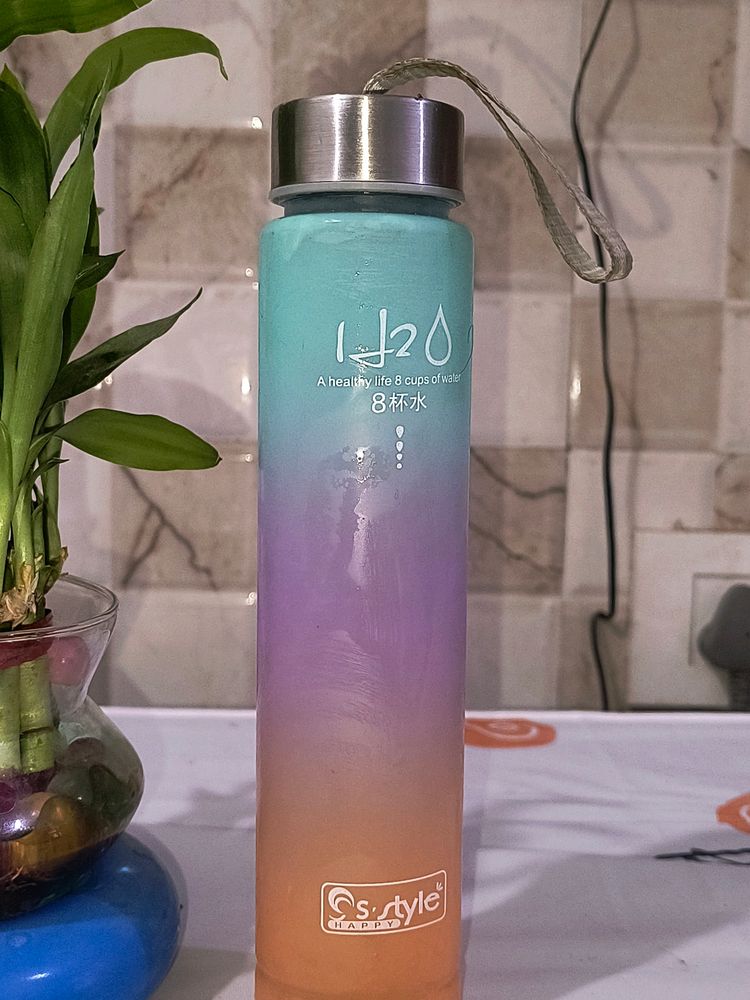 Water Bottle