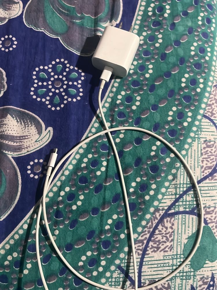 20 Watt iPhone Charger
