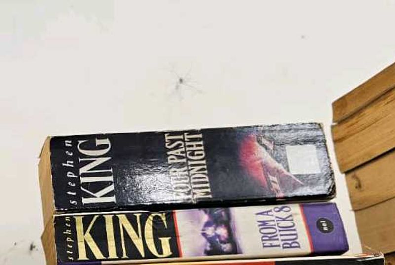 Stephen King's Dark Tower Series - Books 4 &amp; 5