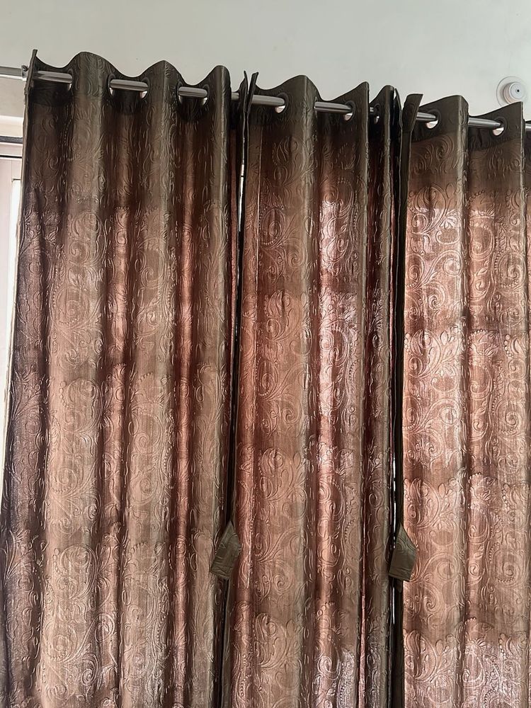 Combo of 3- Full Size Elegant Brownish Curtains