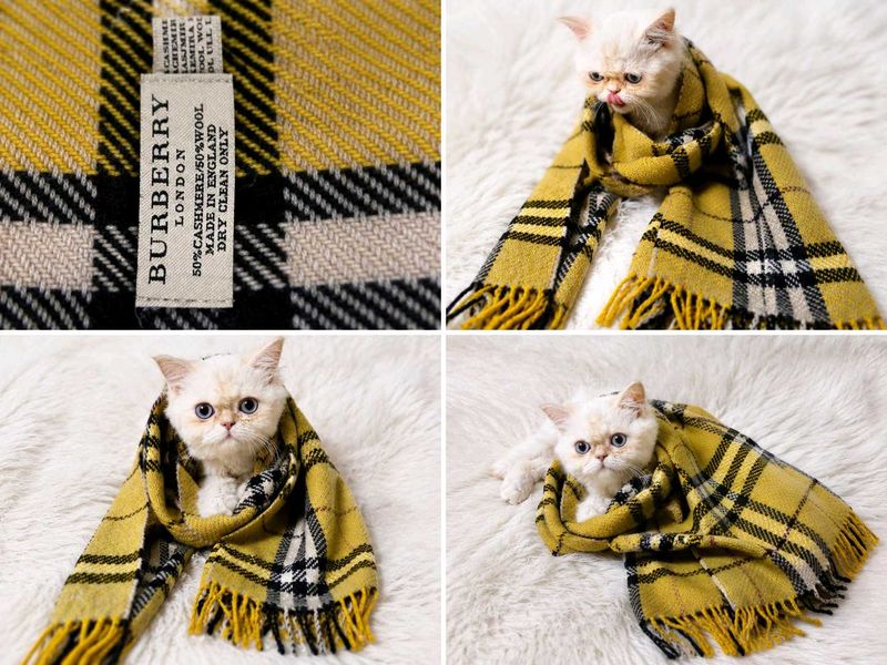 Burberry scarf