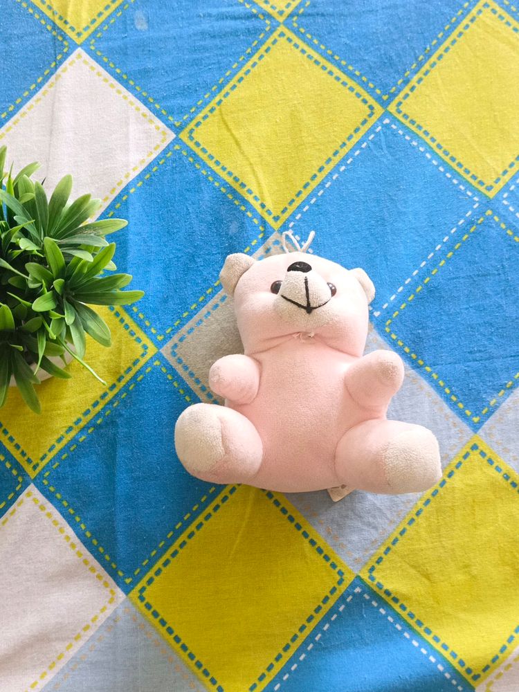 Pink Teddy Bear Small | For Kids