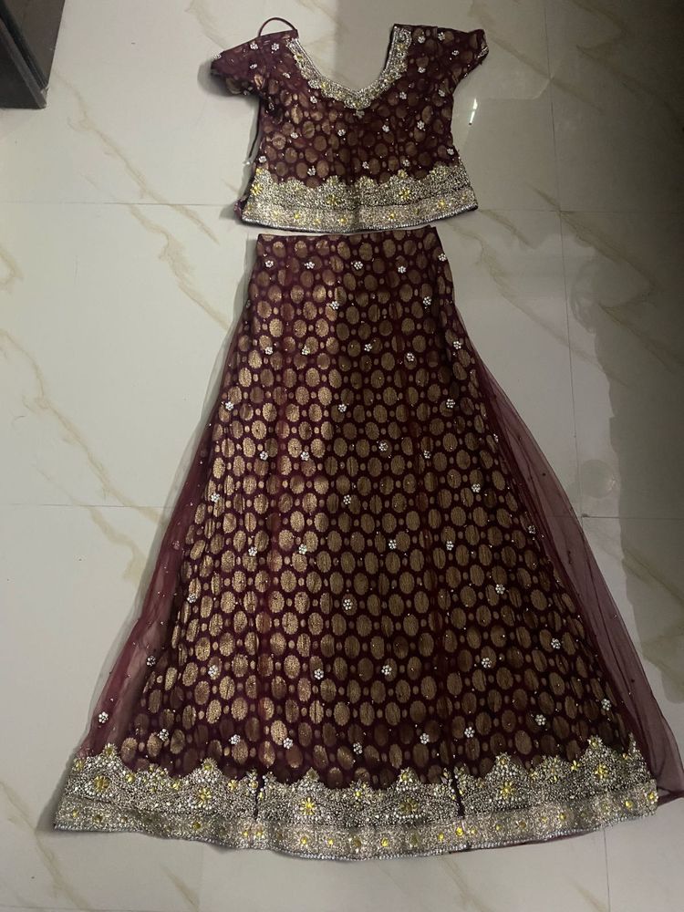 Elegant Embroidered Lehenga Choli Set