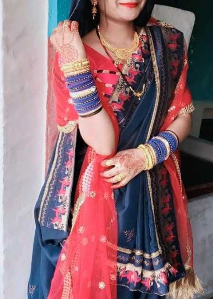 Elegant Indian Saree