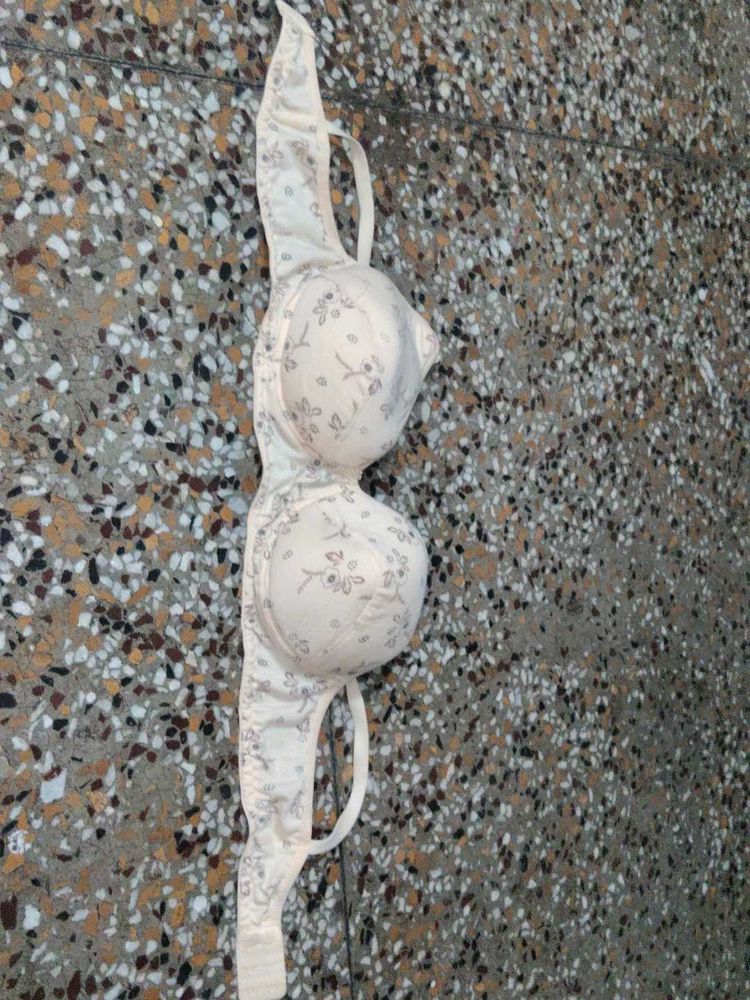 new padded bra
