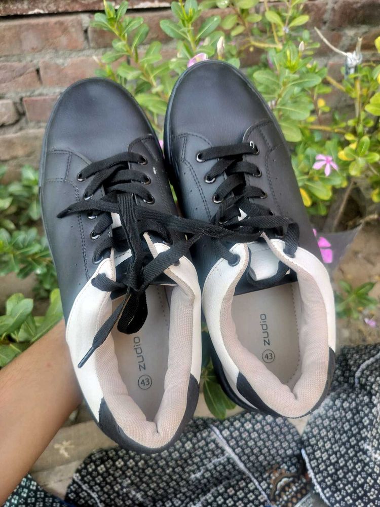 Zudio Original Shoe