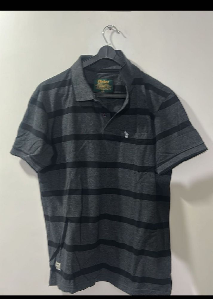 Striped Polo T Shirt