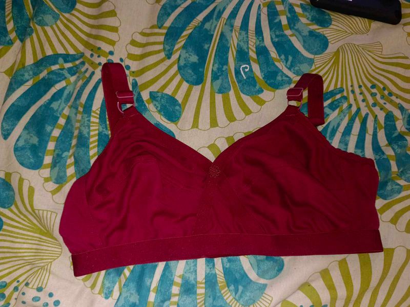 Comfortable Burgundy Bra