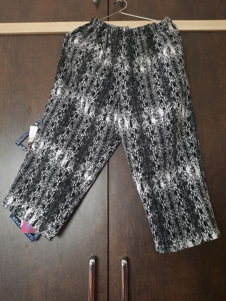 Short Trouser (Half Pant)