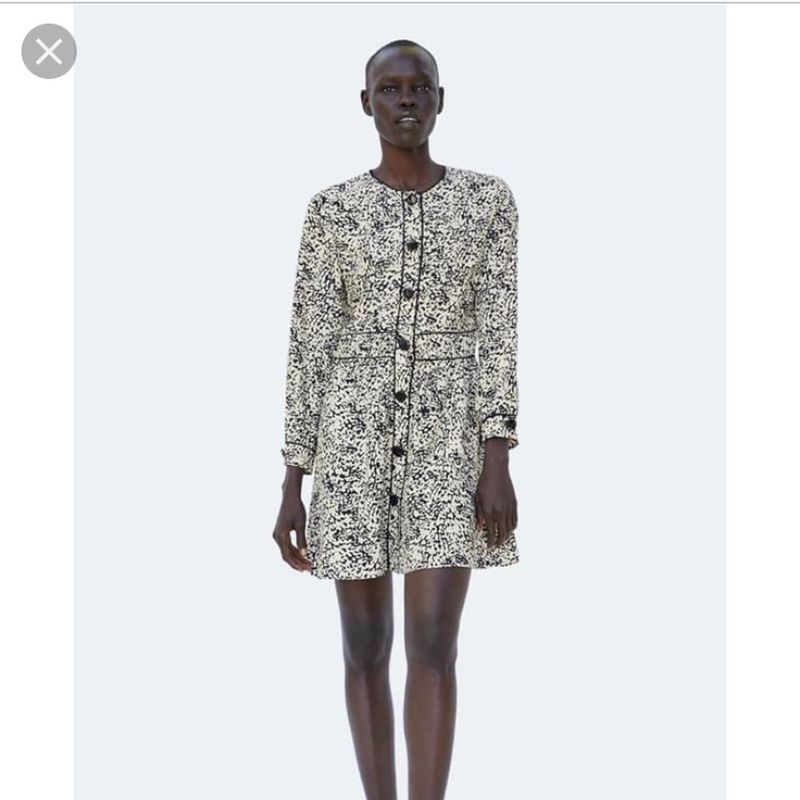 Zara leopard Printed Button-Up Mini Dress