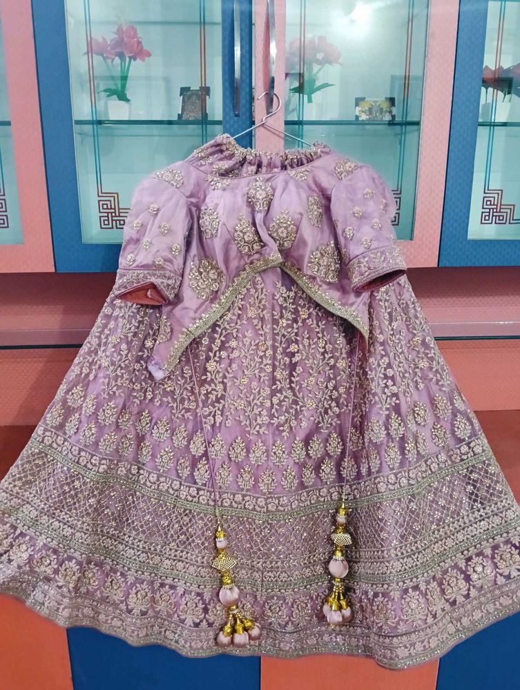 Beautiful Lehnga Choli Set