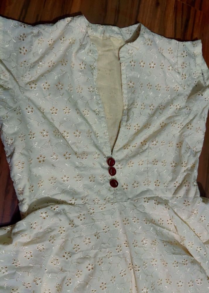 Elegant Embroidered Chikankari Gown
