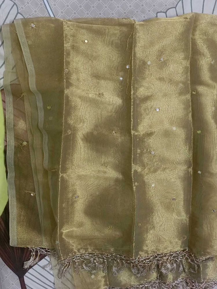 Elegant Gold Embellished , mirror work dupatta