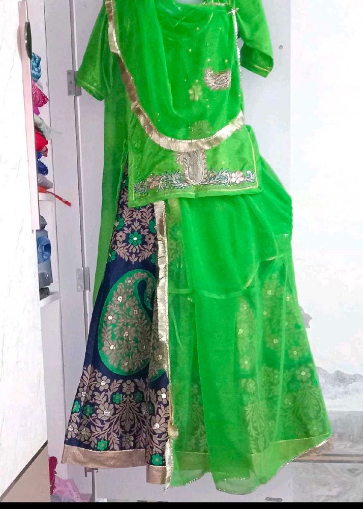 Rajputi poshak..Green Embroidered
