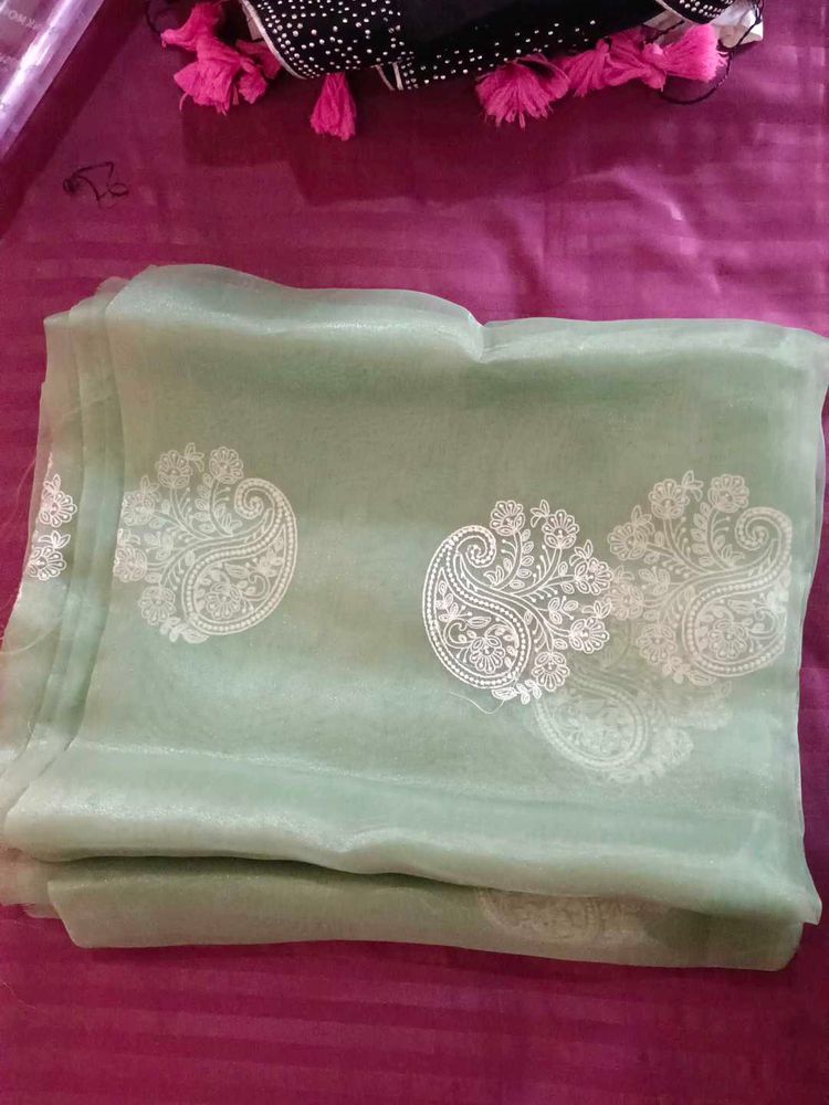Elegant Pastel Green Saree