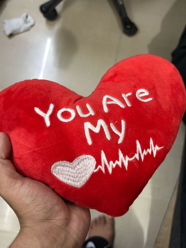 Red Heart Pillow with "You Are My" text