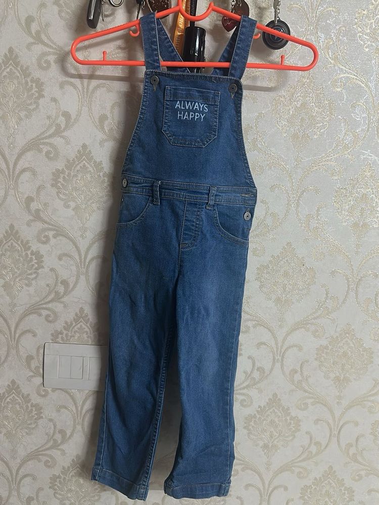 Cute Denim Overalls